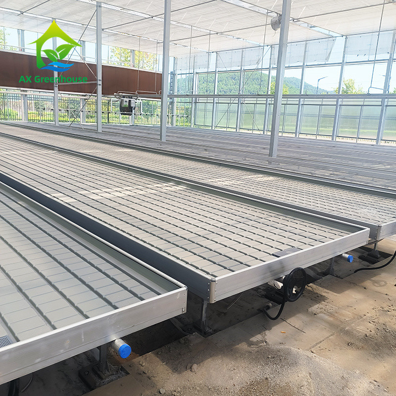 Groentehuis rollende banken groeitafel voor tomatenplant zaaizaad Ebb And Flow irrigatiesysteem
