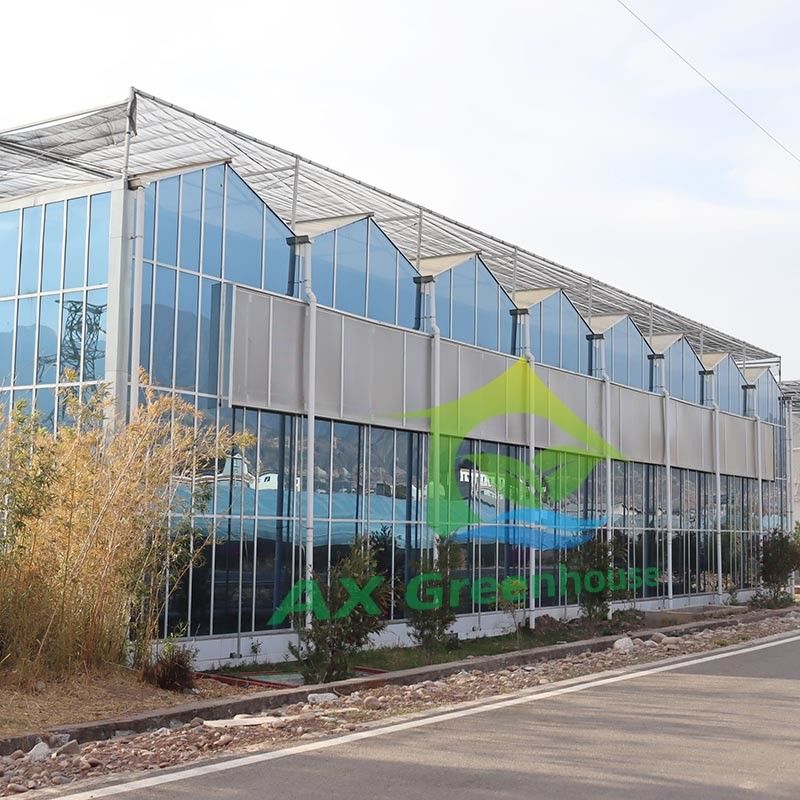 Warm gedompelde gegalvaniseerde staalstructuur en versterkt glazen deksel voor optimale ventilatie in landbouwglaskasten