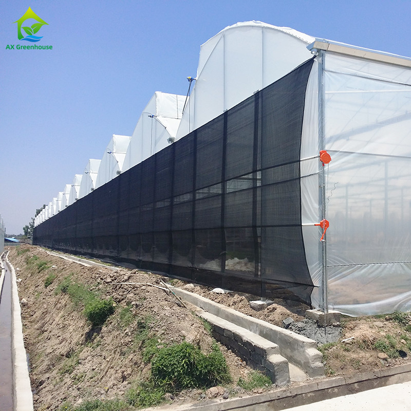 Staalstructuur Landbouw Poly Tunnel Zwarte schaduw Multi-span kas met optionele koelsysteem