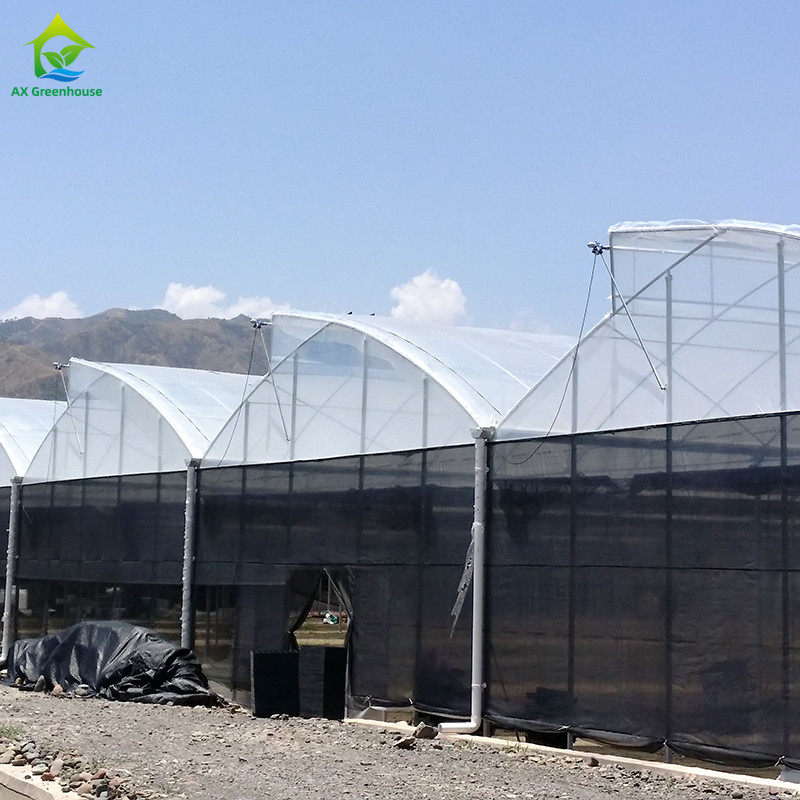 Staalstructuur Landbouw Poly Tunnel Zwarte schaduw Multi-span kas met optionele koelsysteem