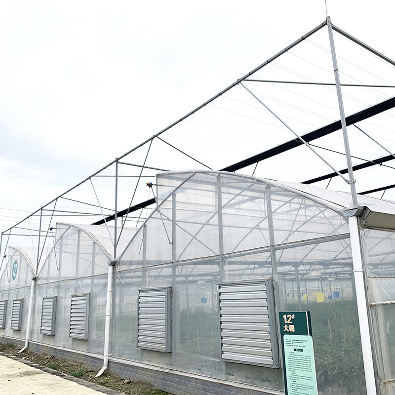 Staalstructuur Zaagtand Polyfilm Lage Tunnel Landbouw Multi-span kas voor duurzame groentenproductie