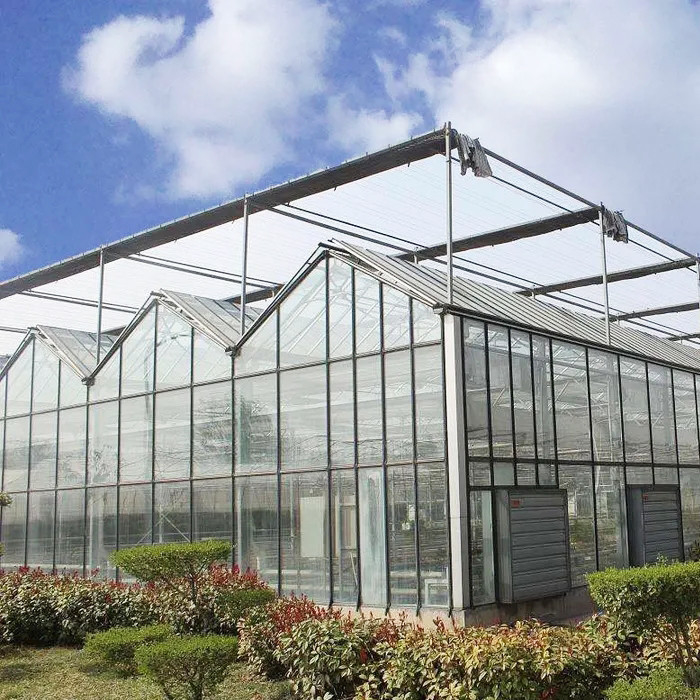 Warm gedompeld gegalvaniseerd staal multi-span Venlo gehard glas tomaten kas voor optimale groei conditie
