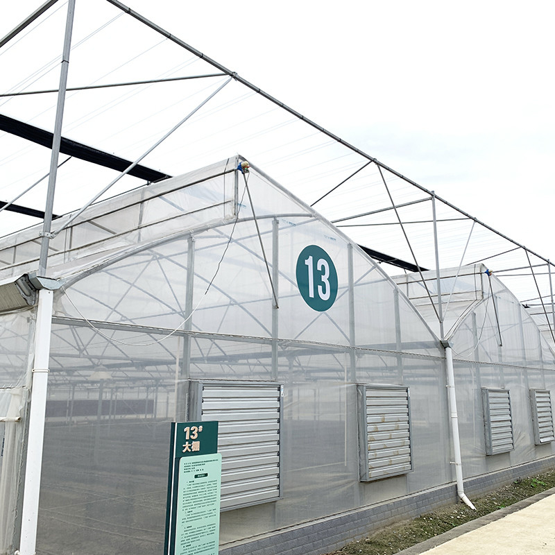 Staalstructuur Zaagtand Polyfilm Lage Tunnel Landbouw Multi-span kas voor duurzame groentenproductie