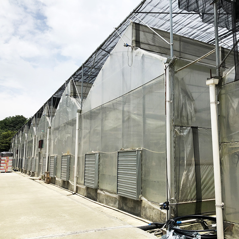 Staalstructuur Zaagtand Polyfilm Lage Tunnel Landbouw Multi-span kas voor duurzame groentenproductie