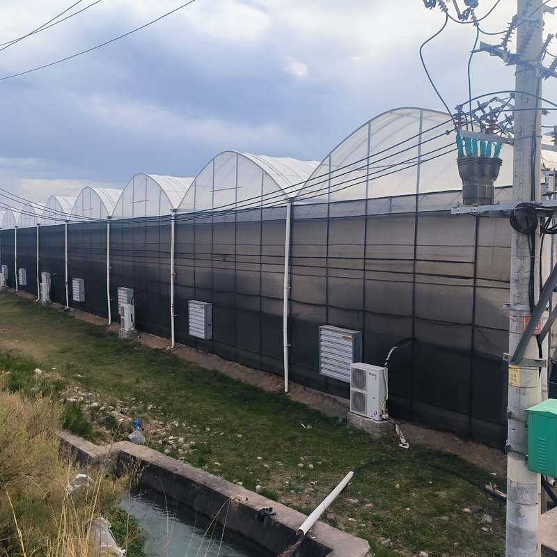 Staalstructuur Landbouw Poly Tunnel Zwarte schaduw Multi-span kas met optionele koelsysteem
