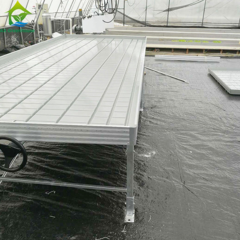 Groentehuis rollende banken groeitafel voor tomatenplant zaaizaad Ebb And Flow irrigatiesysteem