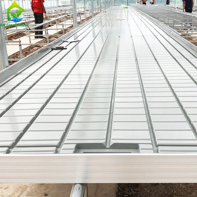 Custom Size Rolling Bench Zaadbed voor Tomato Plant Grow Table Ebb Flow Indoor Farming