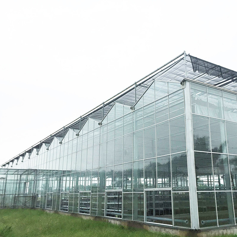 9.6m/10.8m/12m Breedte Aluminium legeringsframe Landbouwglas Venlo Multi-span kas Met driehoekige dakvorming