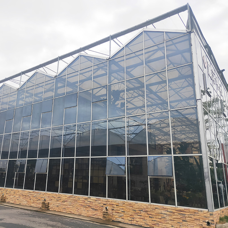 Warm gedompeld gegalvaniseerd staal multi-span Venlo gehard glas tomaten kas voor optimale groei conditie