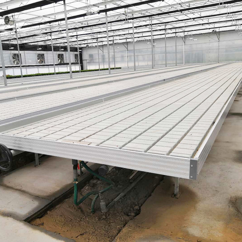 Ebb and Flow 4FT*8FT Verticale Hydroponische Verplaatsbare Rolbank Groeitafel Met Palen