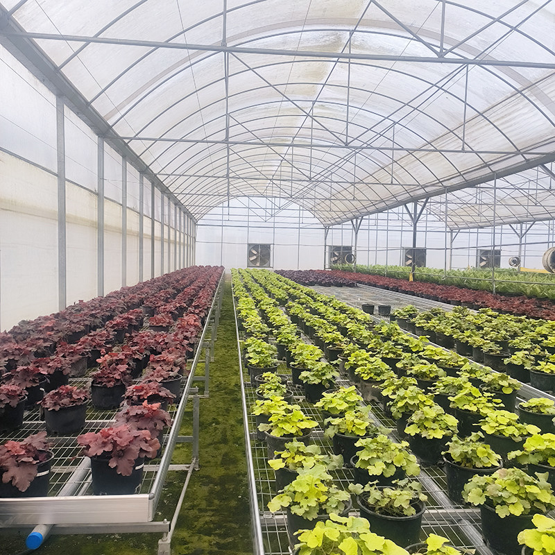 Warme verkoop op maat gemaakt poly tunnel multi-span UV-bestendige film kassen voor tomaten