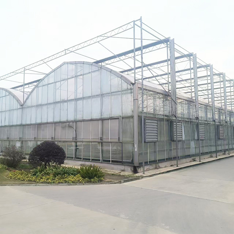 Industrieel Landbouw Luxe Venlo Tempered Glass House Herb Greenhouse met stabiele structuur en verwarmingssysteem