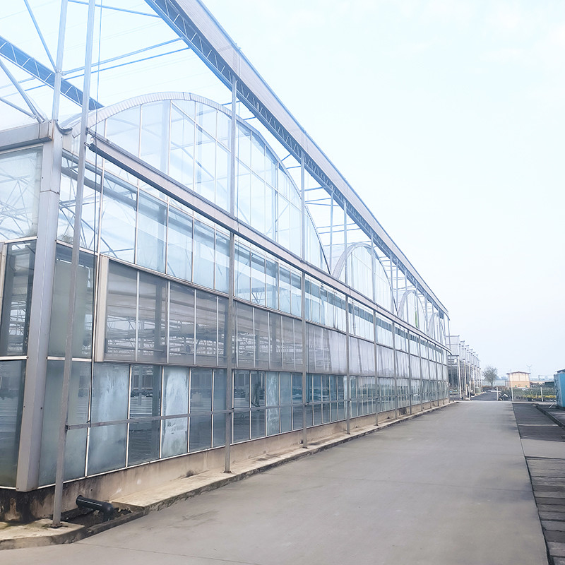 Industrieel Landbouw Luxe Venlo Tempered Glass House Herb Greenhouse met stabiele structuur en verwarmingssysteem
