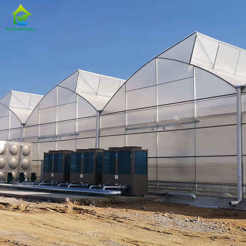 Multi-span poly-tunnel kas met zaagtanddak voor natuurlijke ventilatie en lichtdiffusie