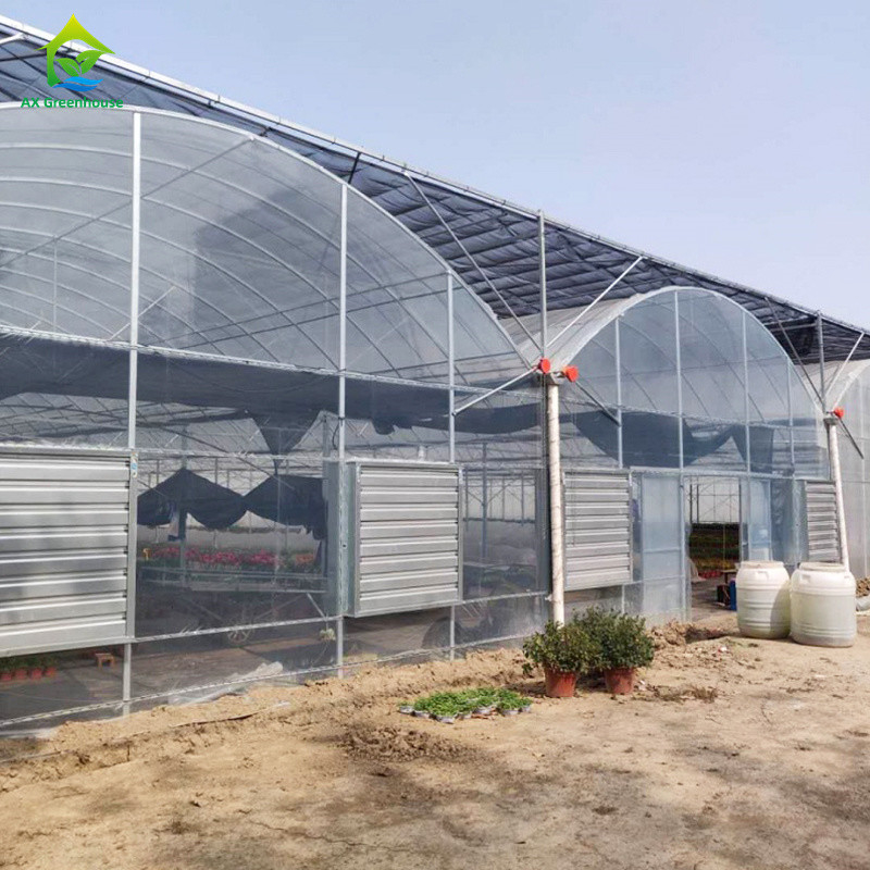 Stabiele structuur Windbestendige multi-span grote tunnel polyfilm hydroponische kas voor irrigatie