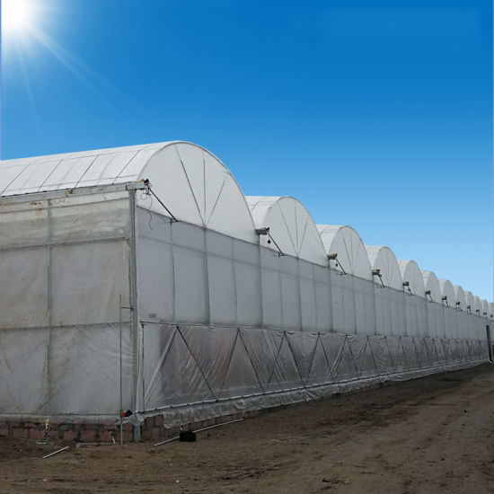 Stabiele structuur Windbestendige multi-span grote tunnel polyfilm hydroponische kas voor irrigatie