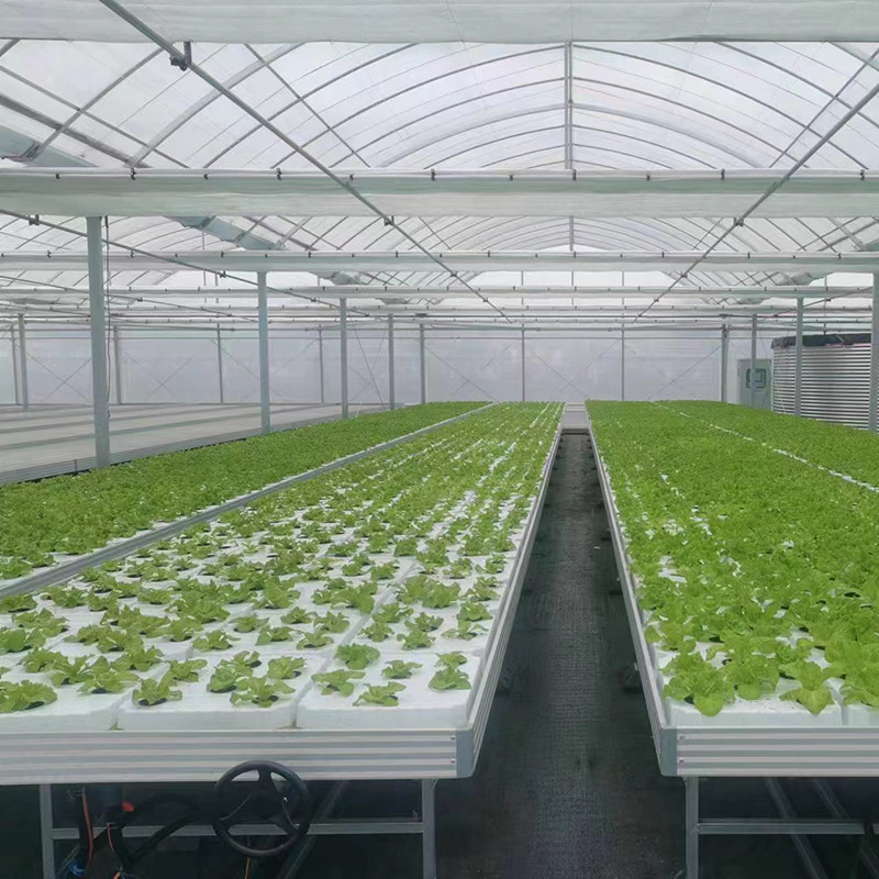 Tuinbouw op maat Groentehuisbouw Tafel Hydroponische Ebb Flood Rolling Bench