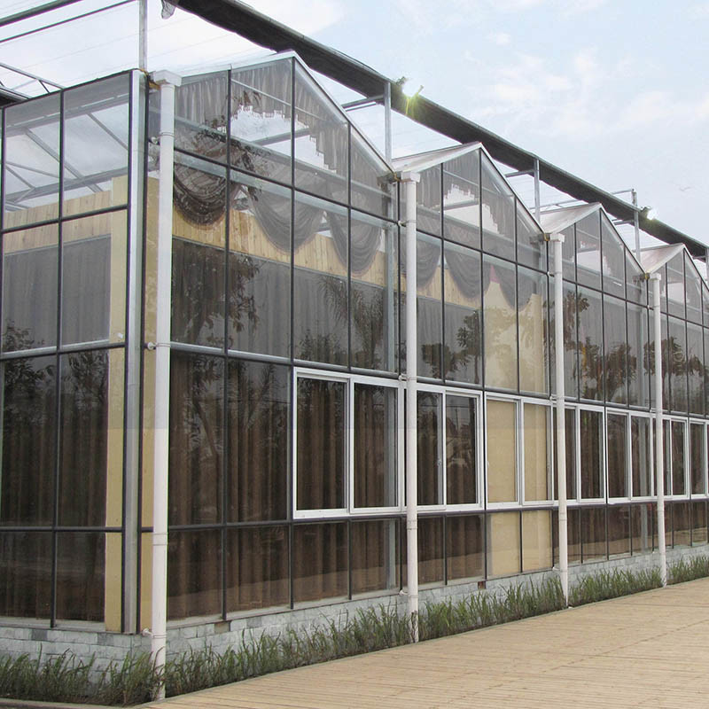 Warm gedompeld gegalvaniseerd staal multi-span Venlo gehard glas tomaten kas voor optimale groei conditie