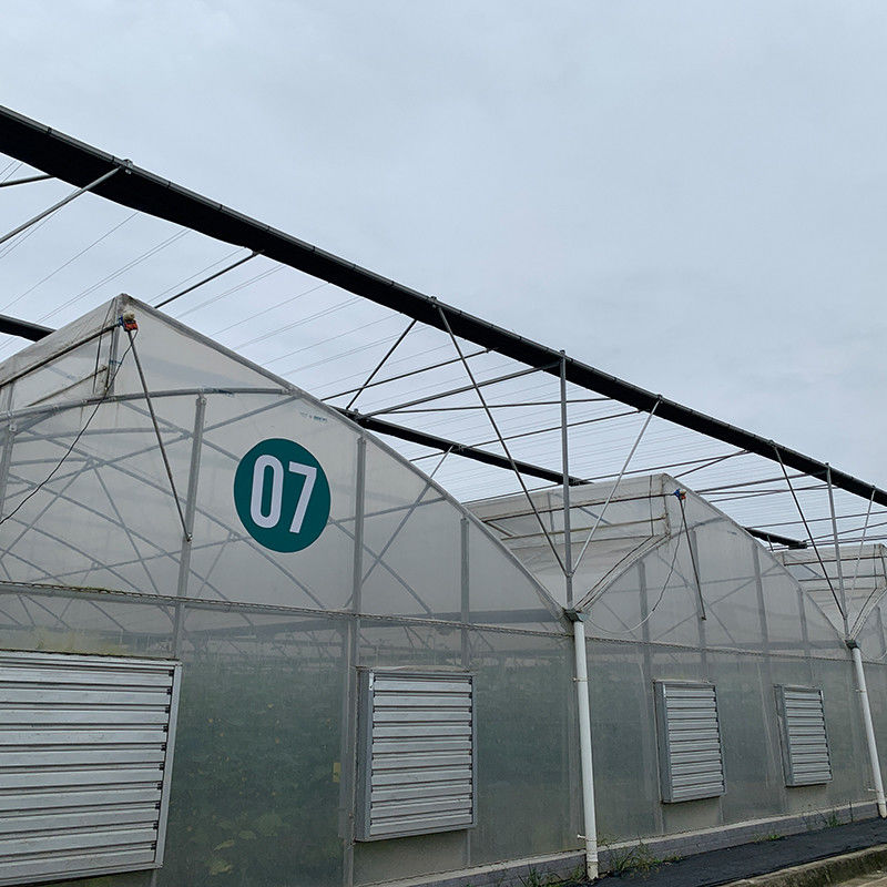 Plastic UV Film Poly Tunnel Landbouwschoentand Multi-span Custom kas te koop