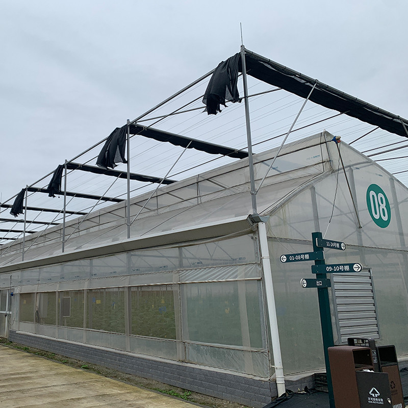 Multi-span poly-tunnel kas met zaagtanddak voor natuurlijke ventilatie en lichtdiffusie