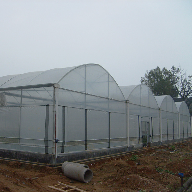 Stabiele structuur Windbestendige multi-span grote tunnel polyfilm hydroponische kas voor irrigatie