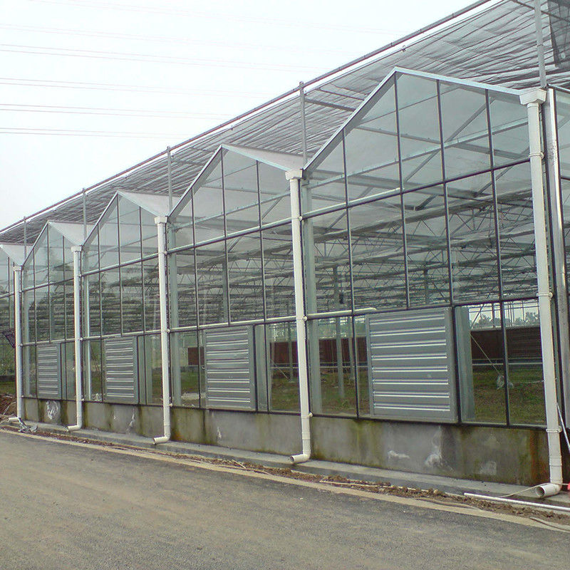 Warm gedompelde gegalvaniseerde staalstructuur Automatische ventilatie Landbouwglas Venlo Meervoudige tomatenzaadkas
