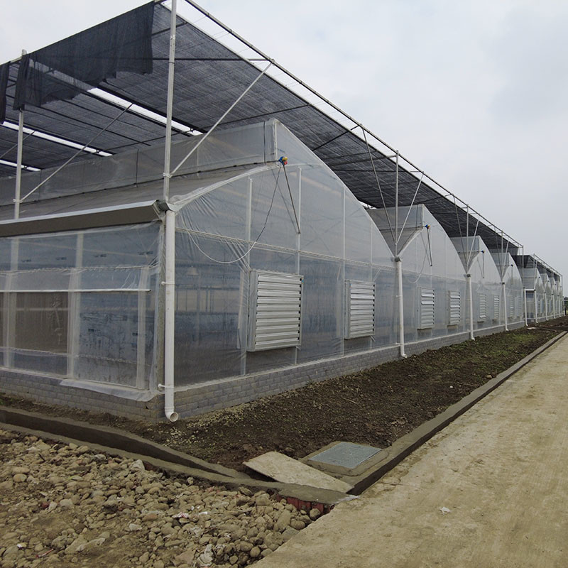 Multi-span poly-tunnel kas met zaagtanddak voor natuurlijke ventilatie en lichtdiffusie