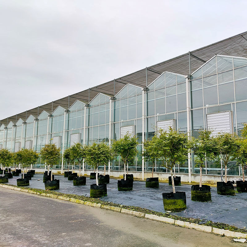 Warm gedompelde gegalvaniseerde staalstructuur Automatische ventilatie Landbouwglas Venlo Meervoudige tomatenzaadkas