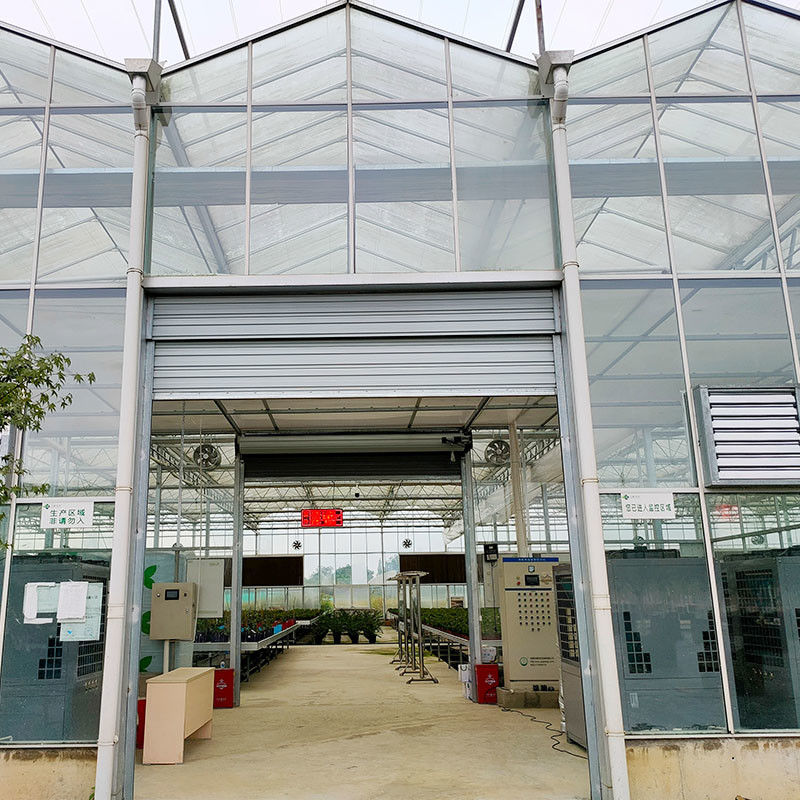 Warm gedompelde gegalvaniseerde staalstructuur Automatische ventilatie Landbouwglas Venlo Meervoudige tomatenzaadkas