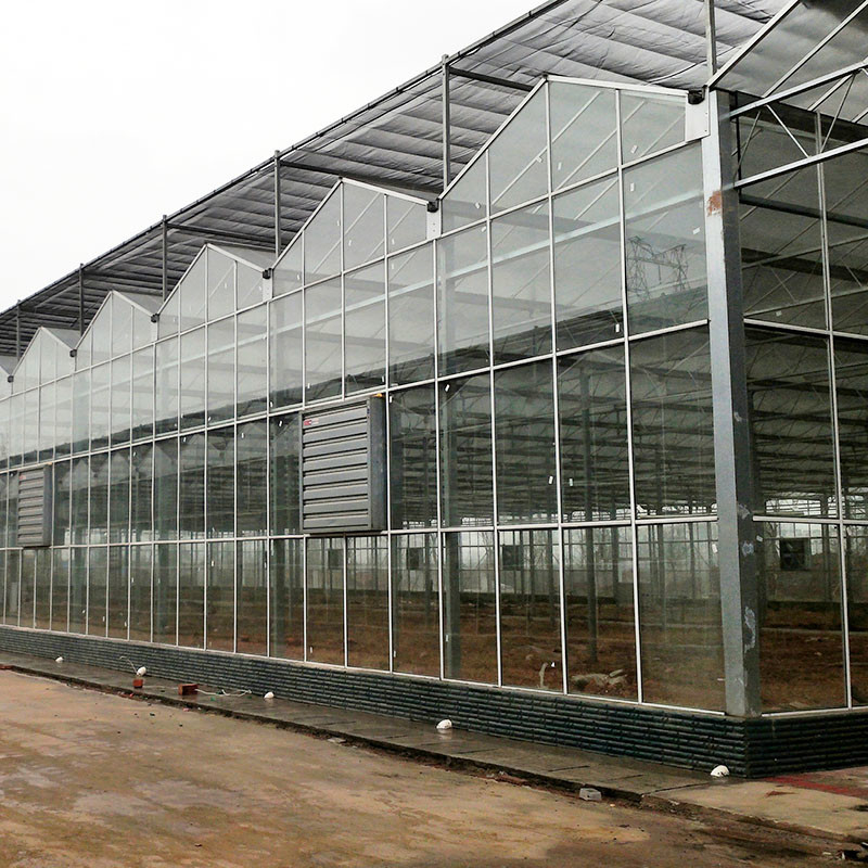 Venlo Type Landbouwglazen Kas Geharde Panelen Gegalvaniseerd Stalen Frame voor Komkommerteelt