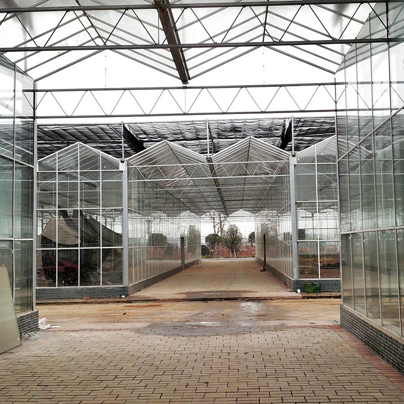 Slimme landbouw Venlo-type Landbouw Tempered Glass Grote tunnel Multi-span kas