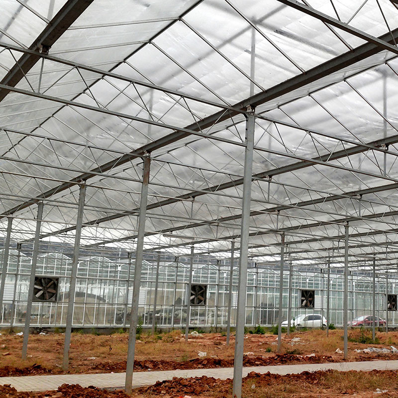 Automatische ventilatie Landbouwglas Venlo Grote tunnel Tomaten kasten met koelsysteem pad en ventilator systeem