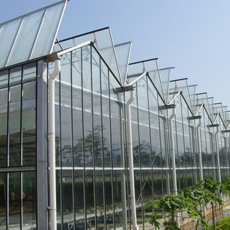 Slimme landbouw Venlo-type Landbouw Tempered Glass Grote tunnel Multi-span kas