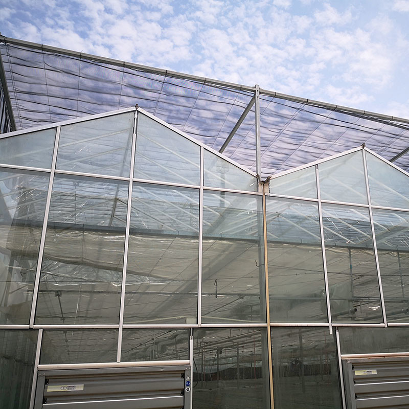 Slimme landbouw Venlo-type Landbouw Tempered Glass Grote tunnel Multi-span kas