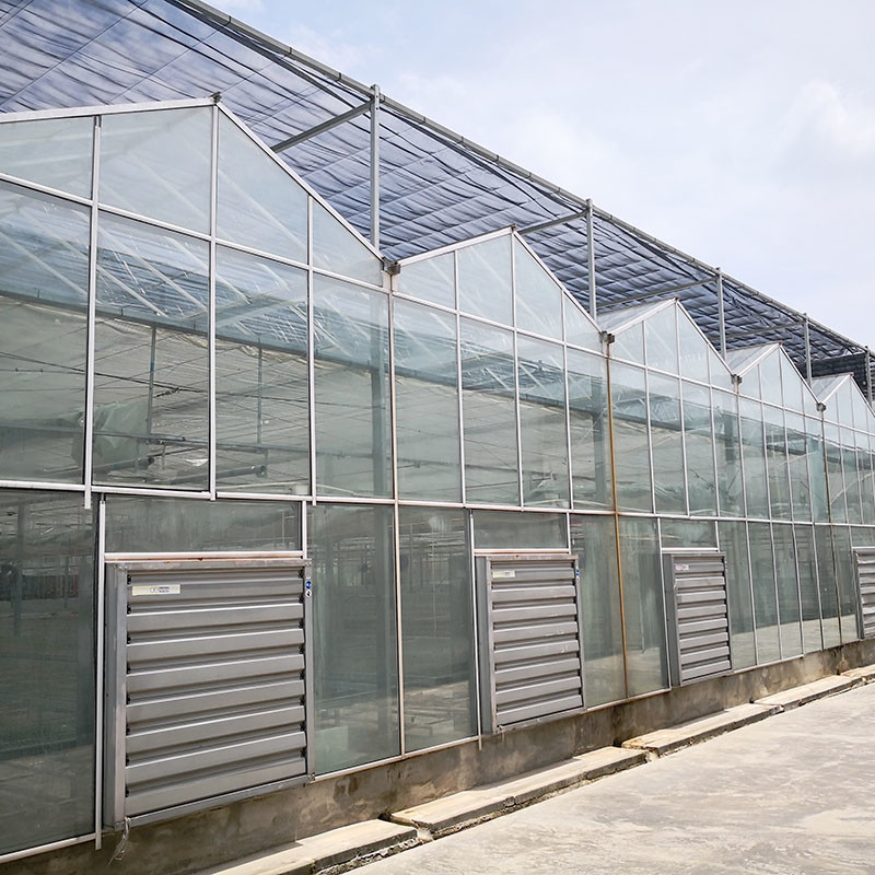 Automatische ventilatie Landbouwglas Venlo Grote tunnel Tomaten kasten met koelsysteem pad en ventilator systeem