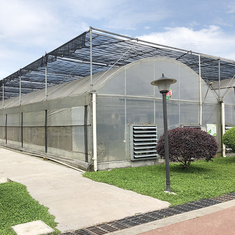 Stabiele structuur Industrieel plastic PE-film Meerdere spanningen Landbouw Bloemenhuis Poly Tunnel Kas