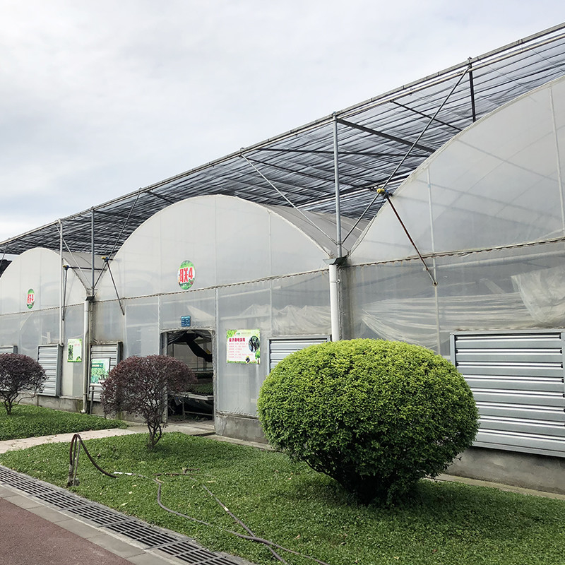Stabiele structuur Industrieel plastic PE-film Meerdere spanningen Landbouw Bloemenhuis Poly Tunnel Kas