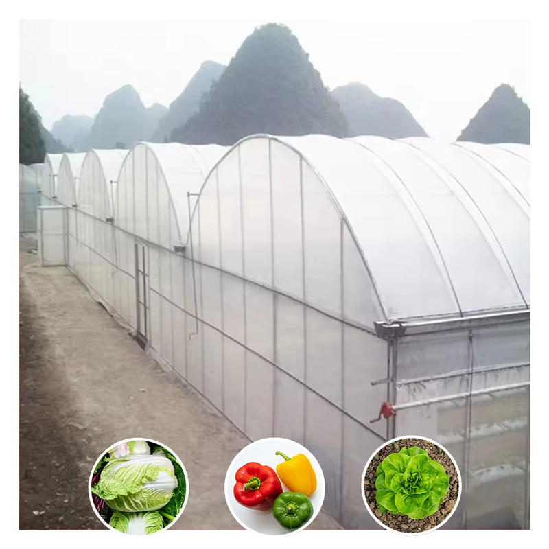 Warme verkoop op maat gemaakt poly tunnel multi-span UV-bestendige film kassen voor tomaten