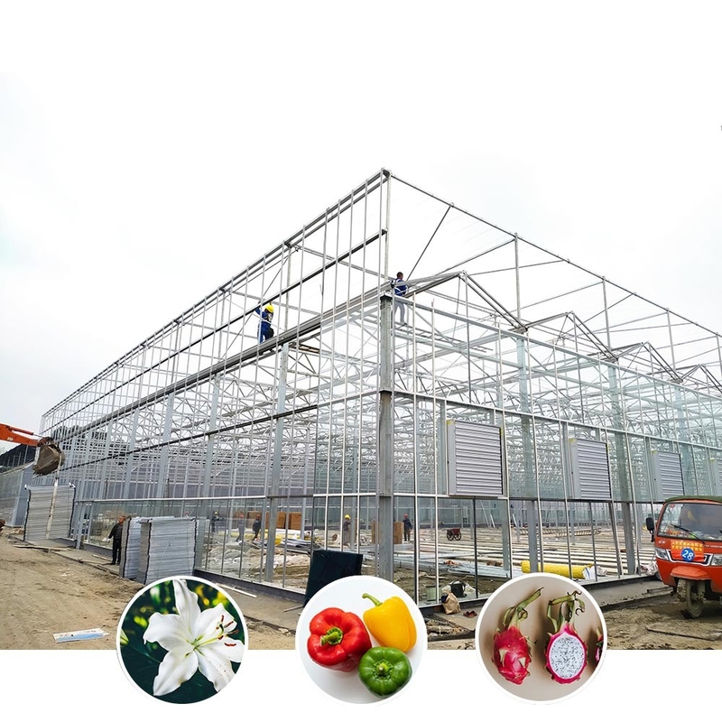 All-Weather Farming Solution Stable Structure Kas met warm gedompeld gegalvaniseerd staal en commercieel glas
