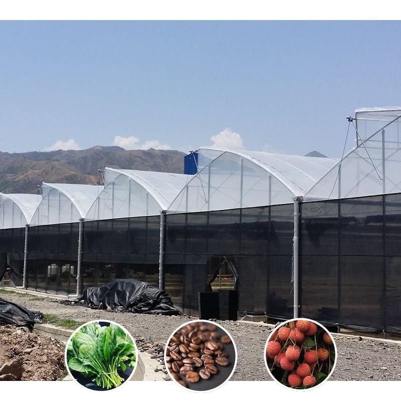 Plastic UV Film Poly Tunnel Landbouwschoentand Multi-span Custom kas te koop