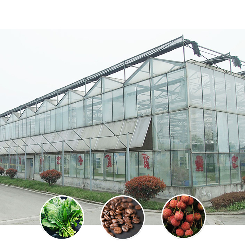 All-Weather Farming Solution Stable Structure Kas met warm gedompeld gegalvaniseerd staal en commercieel glas