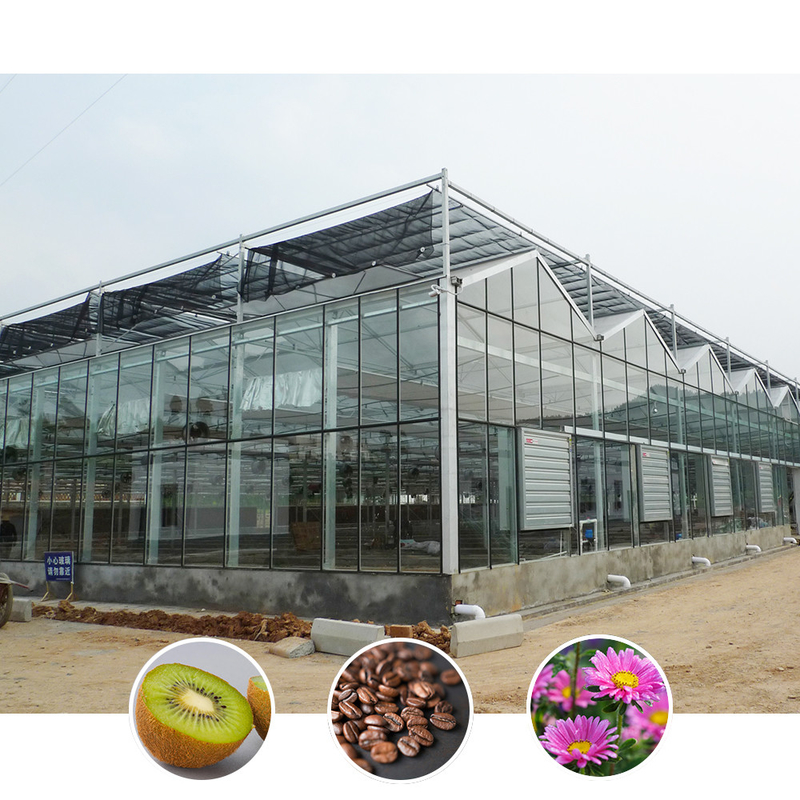 All-Weather Farming Solution Stable Structure Kas met warm gedompeld gegalvaniseerd staal en commercieel glas