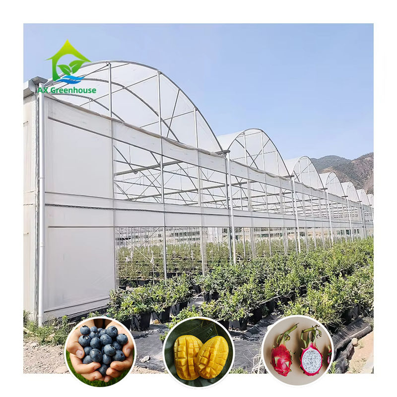 Tuinbouw Plastic Folie UV Bestendig Grote Poly Tunnel Multi-span Kas voor Groenten