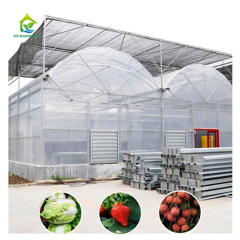 Duurzame Multi-Span Polytunnel Kas Zwaar uitgevoerde Stalen Wind- en Sneeuwbestendigheid Commerciële Boerderijen Kwekerijen