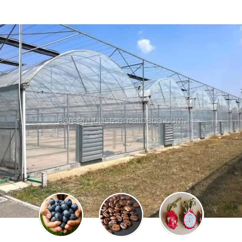 Duurzame Multi-Span Polytunnel Kas Zwaar uitgevoerde Stalen Wind- en Sneeuwbestendigheid Commerciële Boerderijen Kwekerijen