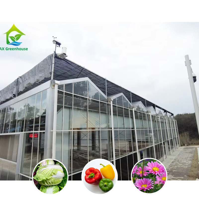 All-Weather Farming Solution Stable Structure Kas met warm gedompeld gegalvaniseerd staal en commercieel glas
