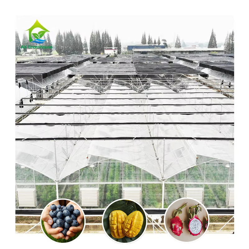 Warm gegalvaniseerde staalstructuur Multi-Span Plastic Film Custom kas met tropische top ventilatie zagtand ontwerp