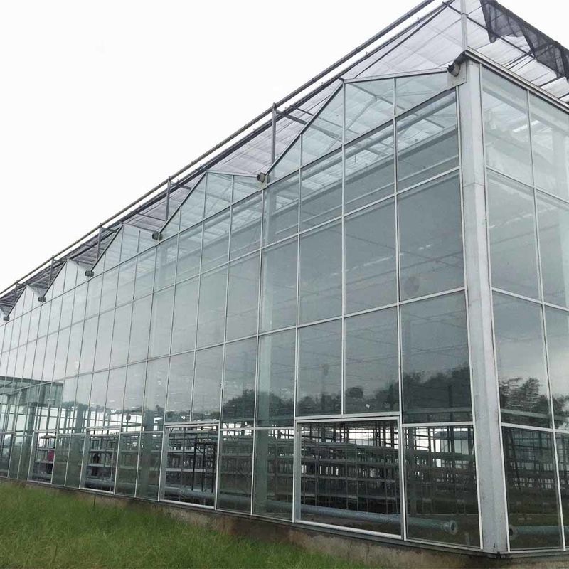 Multi-Span Venlo-achtige glazen landbouwkas met driehoekige dakvorming en bovenste zijdeventilatie voor ventilatie