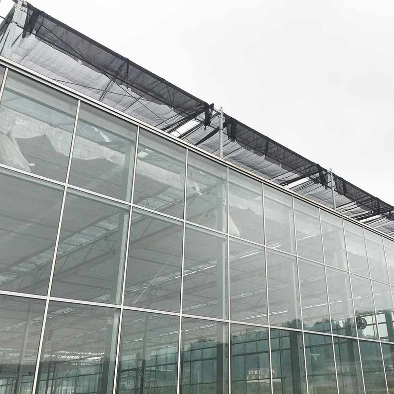 Multi-Span Venlo-achtige glazen landbouwkas met driehoekige dakvorming en bovenste zijdeventilatie voor ventilatie