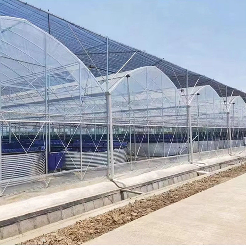 Duurzame Multi-Span Polytunnel Kas Zwaar uitgevoerde Stalen Wind- en Sneeuwbestendigheid Commerciële Boerderijen Kwekerijen